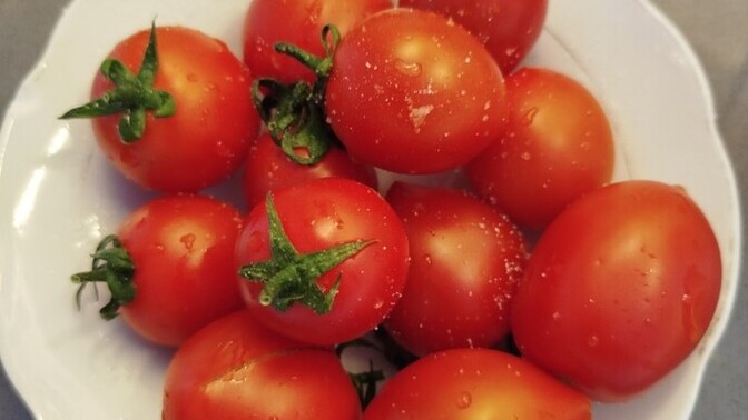 Domates meyve midir sebze mi, çeri domates meyve gibi yemek doğru mu?
