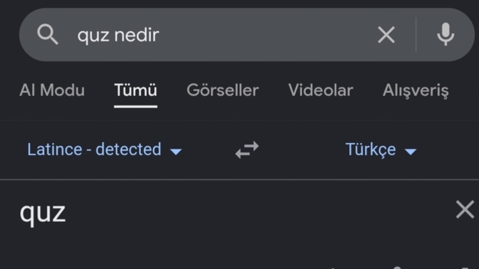 Quz ne demek bilen var mı?