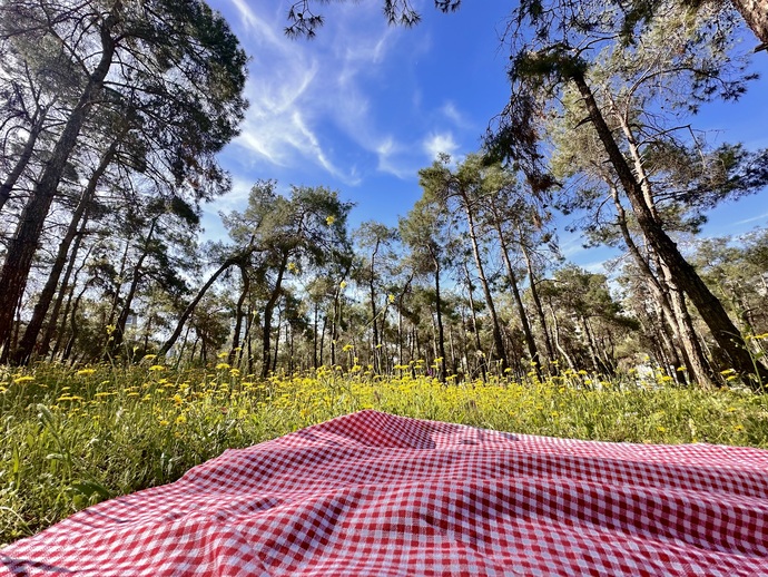 Günaydın💖Doğa size de şifa olur mu🦋🌷✨?