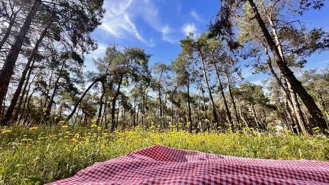 Günaydın💖Doğa size de şifa olur mu🦋🌷✨?