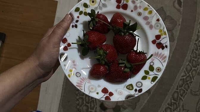 Bu sene bol bol çilek var. Sever misiniz?