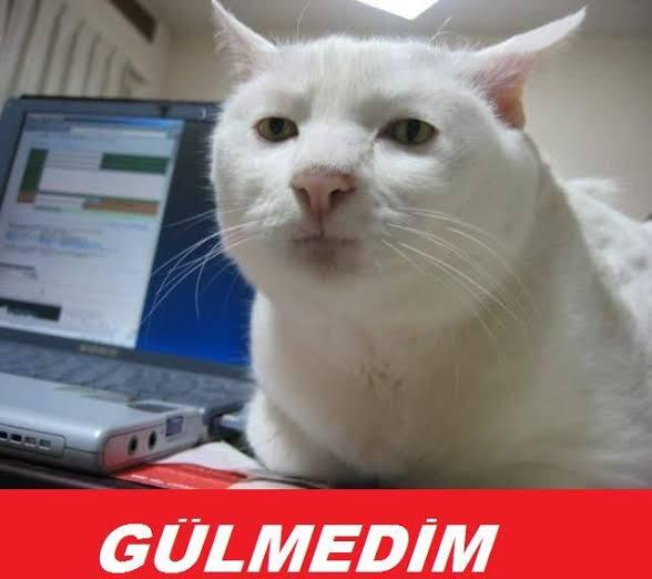 Bütün keyfim kaçtı. Beni mutlu edecek sevgiliyi nerede bulabilirim?