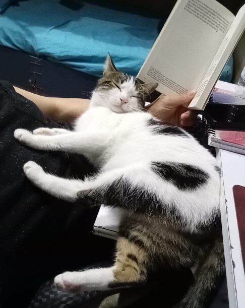 Her gün bir kere hatırladığınız biri var mı?