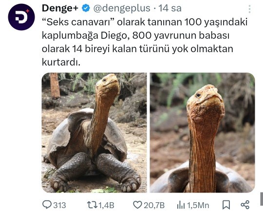 Şort etek insanlık suçu değil mi resmen hile etek diye bakıyorsun şort çıkıyor şort diye bakıyorsun etek çıkıyor?