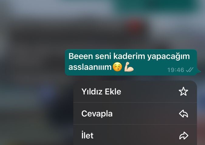 Sitede aşık olduğum adama nasıl bir mesaj atsam etkilenir?