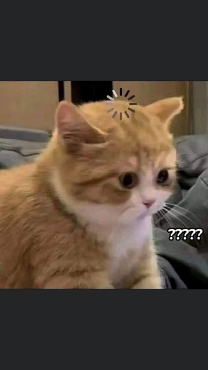 Hiç stalk yaparken yakalandığınız oldu mu?