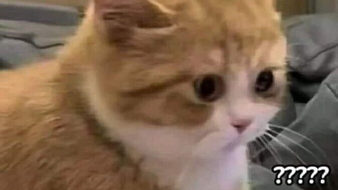 Hiç stalk yaparken yakalandığınız oldu mu?