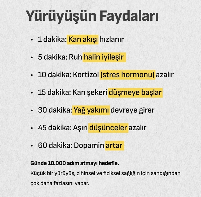 Günde kaç adım atıyorsunuz?