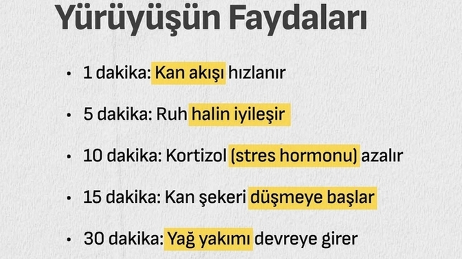 Günde kaç adım atıyorsunuz?