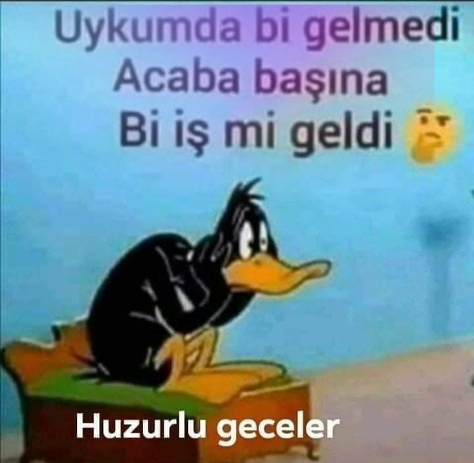 Uykuya dalamayanlar kulübü toplandı mı, yoksa sadece ben mi aidat ödüyorum?