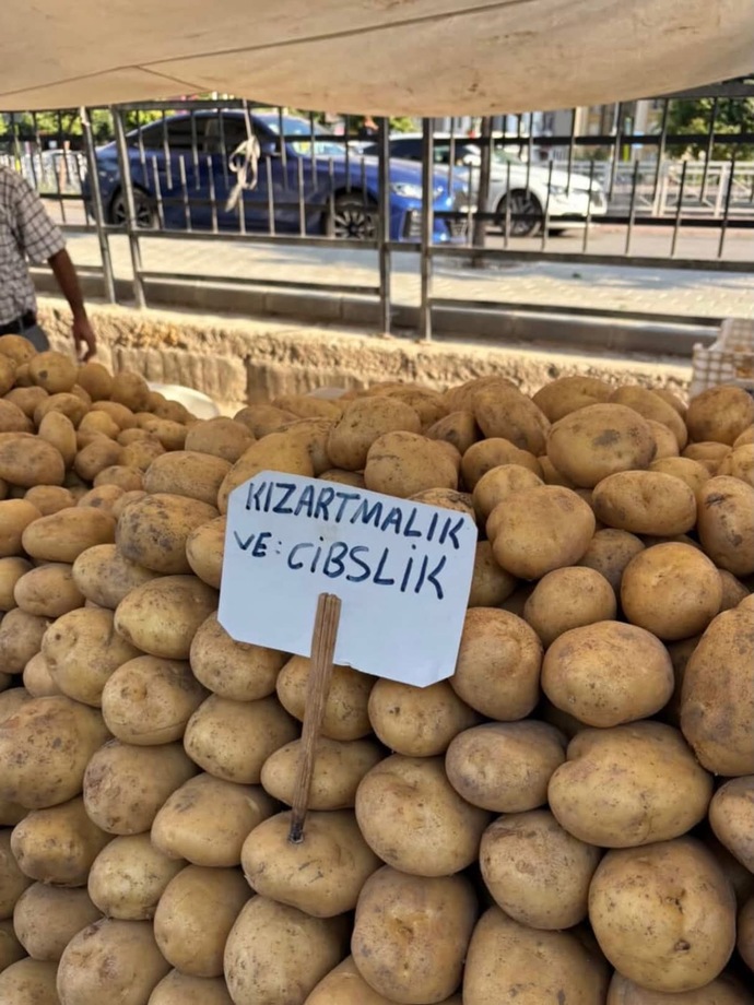 Dilenci olmak ister miydiniz?