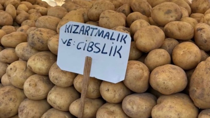 Dilenci olmak ister miydiniz?