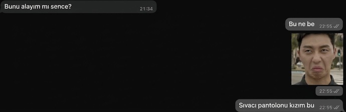 Görseldeki pantolonu sıvacılar giymiyor mu?