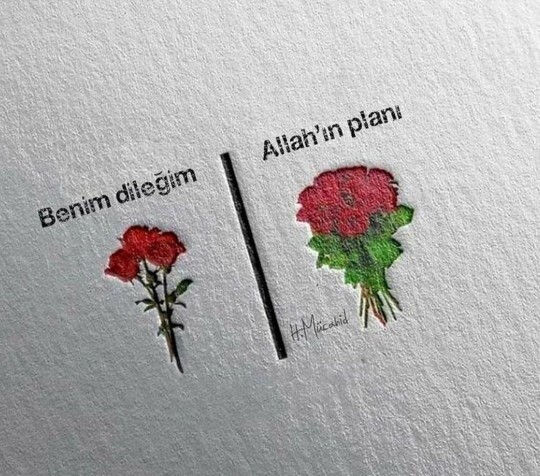 Benim dileğim Allahin planladığı bu söze inaniyor musunuz?