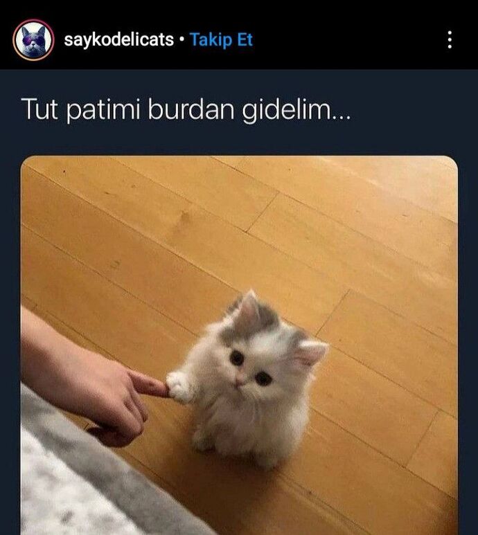 Pılınızı pırtınızı toplayıp hiç bilenmeyen bir yere gidecek olsanız yanınıza kimi alırdınız?