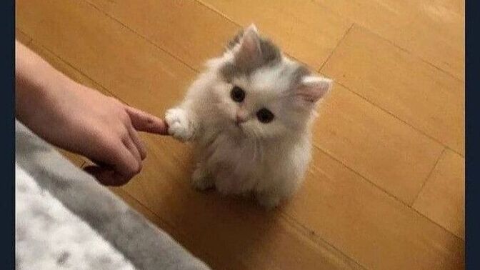 Pılınızı pırtınızı toplayıp hiç bilenmeyen bir yere gidecek olsanız yanınıza kimi alırdınız?