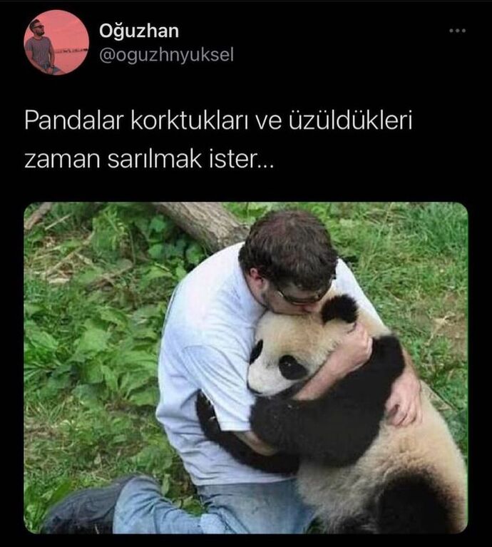 En sevdiğim hayvan diyorum bir ayıyı mı seviyorsun diyorlar hıh...