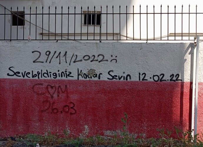 Gençken hiç sprey boyayla duvara yazı yazdınız mı?