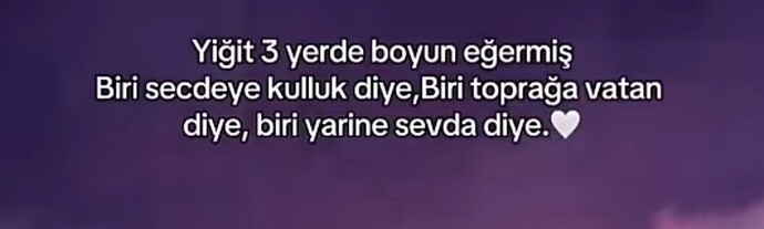 Tek kalbe sığmayan , daldan dala atlayan beylere ne denmeli?