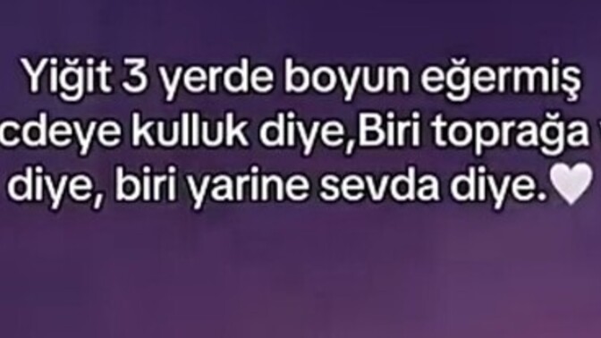 Tek kalbe sığmayan , daldan dala atlayan beylere ne denmeli?