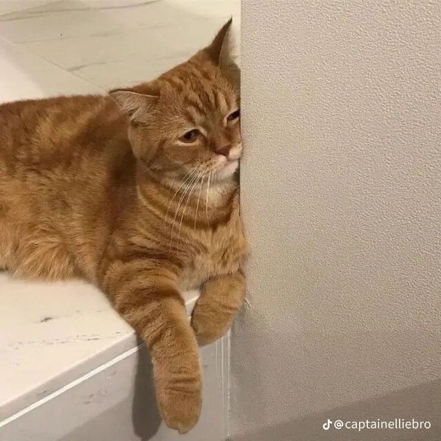 Hiç kahvenizi ya da çayınızı içmeyi unuttunuz mu?