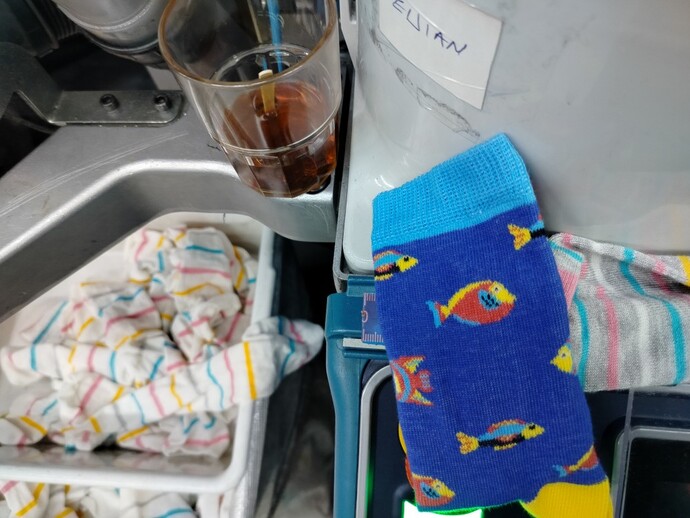 Kavun değil kelektir! Balık bir yemektir! Denizden ne çıkarsa yersin?