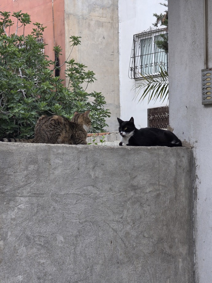 Herşeyi siyah beyaz paylasmak kötü mü?