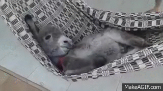 Günün yorgunluğunu ne şekil atıyorsun?
