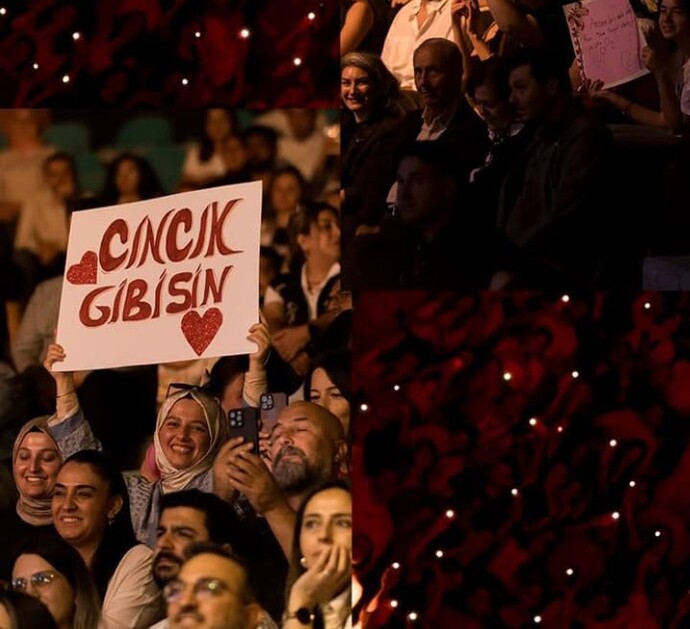 Cıncık gibisin demek istediğiniz o burç hangisi?