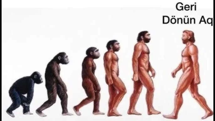 Sence evrim % kaç gerçek?