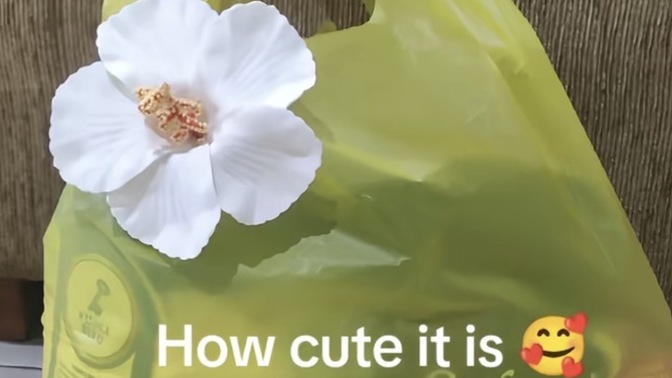 Balenciaga çöp poşeti çantaya 80 bin TL verilir mi, siz olsanız alır mıydınız?