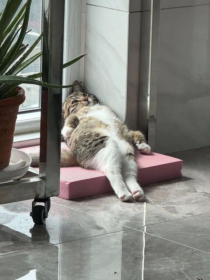 Olgun erkekleri begenmem normal mi?