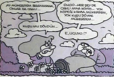 Bu karikatür geldi aklıma 😂😂