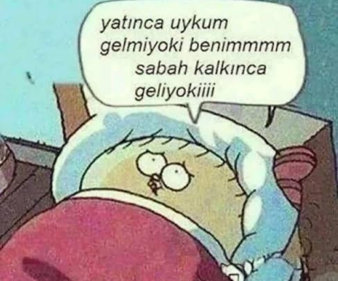 Uykum nerdesin😒? Hadi bana soru sorun cevaplayayım ☺️ Ama ayıplı soru kabul etmiyoruz anlaştık mı🤝?