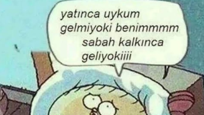 Uykum nerdesin😒? Hadi bana soru sorun cevaplayayım ☺️ Ama ayıplı soru kabul etmiyoruz anlaştık mı🤝?