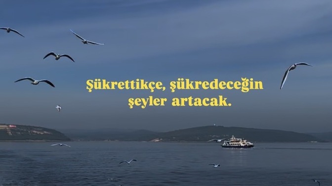 Şükreder misiniz?