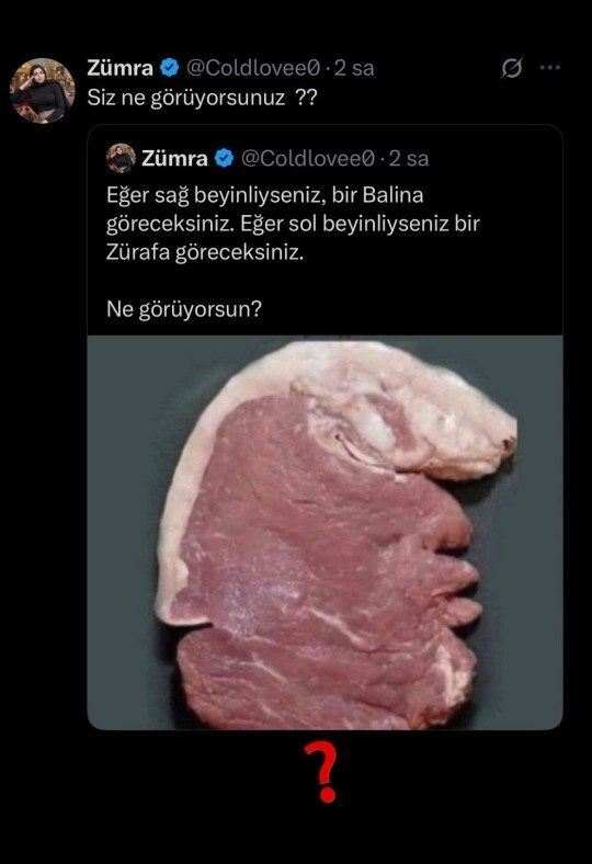 Siz ne görüyorsunuz fotoda, ilk bakışta aklınıza ne geliyor?