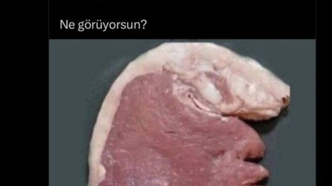 Siz ne görüyorsunuz fotoda, ilk bakışta aklınıza ne geliyor?