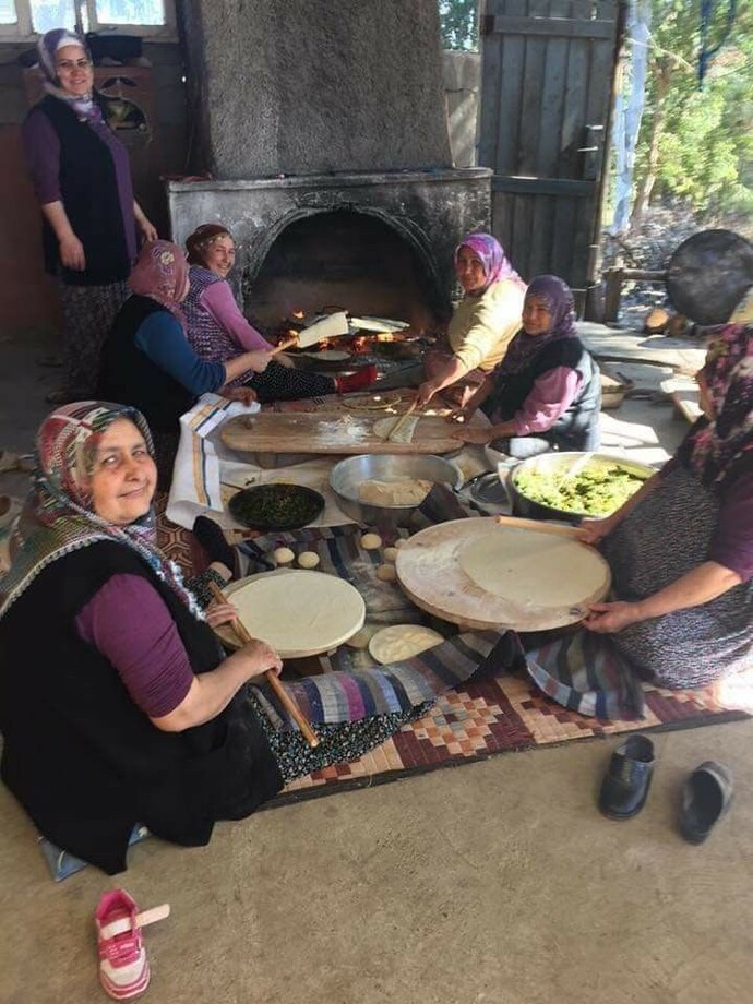 Köy işlerinden anlar mısınız?