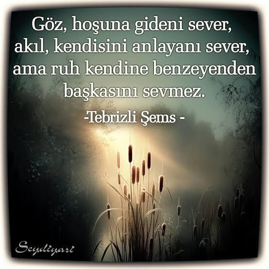 Gerçek sevgi neydi sizce, aşk mı emek mi yoksa bambaşka bir şey mi?