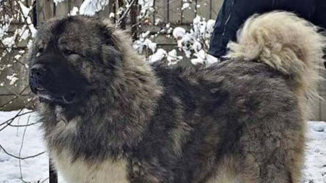 Güzel kızların kusurları neden güzelliklerinden daha fazla göze batıyor?
