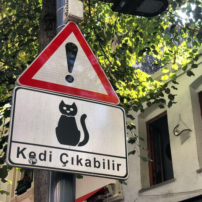 Burnunuza kötü kokular geliyor mu?