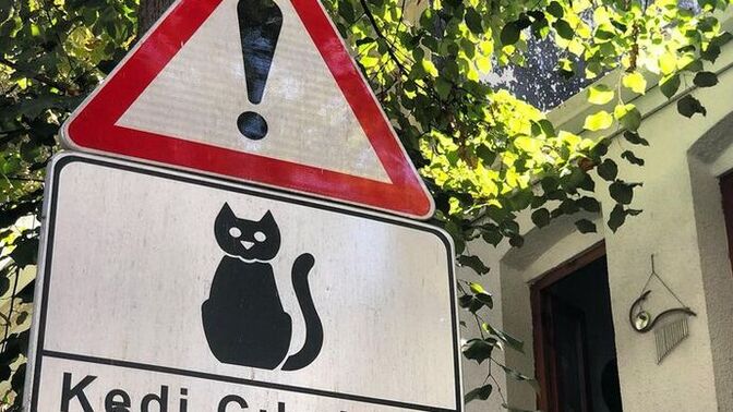 Burnunuza kötü kokular geliyor mu?