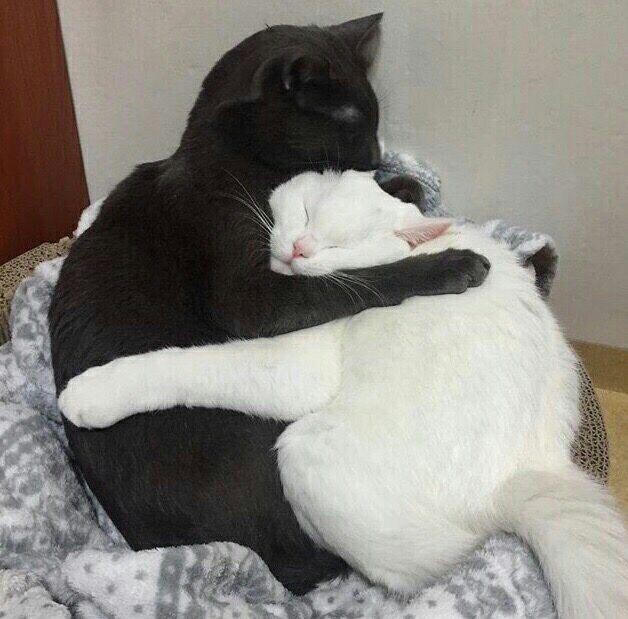 Temassız ilişki olur mu?