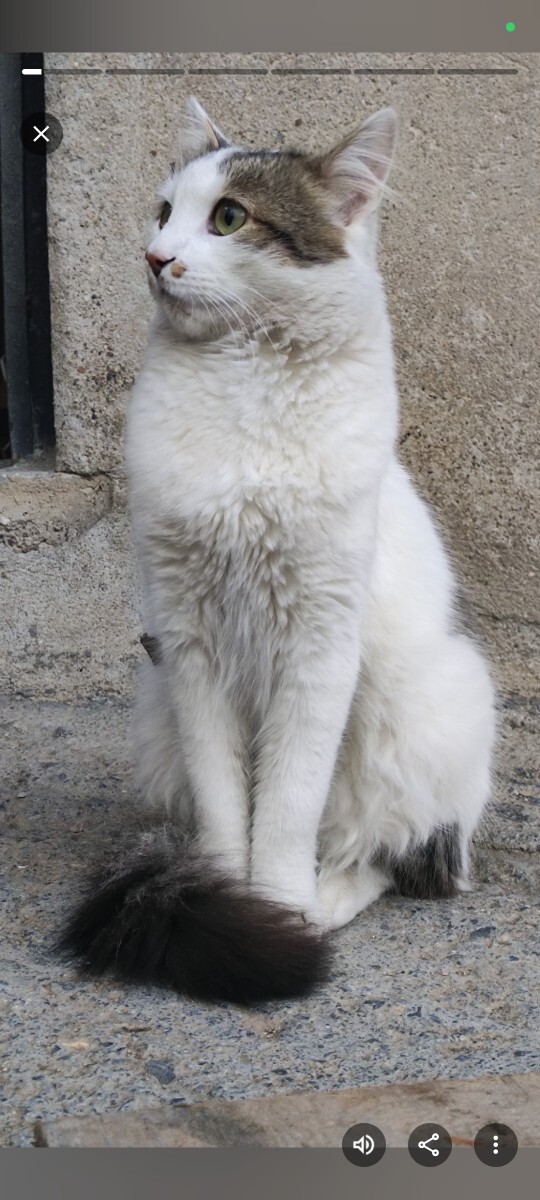 Bir bakışıyla eridiğiniz biri var mi?