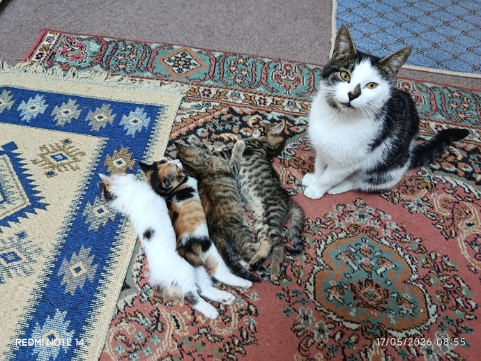 Bir bakışıyla eridiğiniz biri var mi?