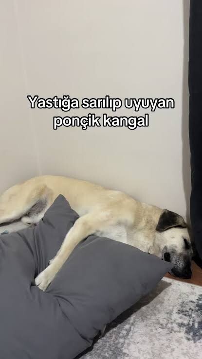 Şu an sevgilisi olmayanlar ne yapıyor acaba?