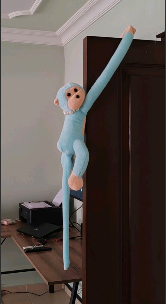 Peluş oyuncağınız var mı?