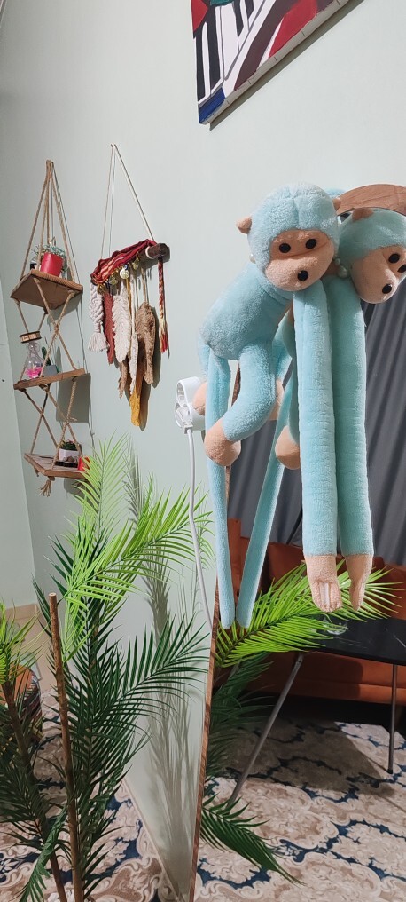 Peluş oyuncağınız var mı?