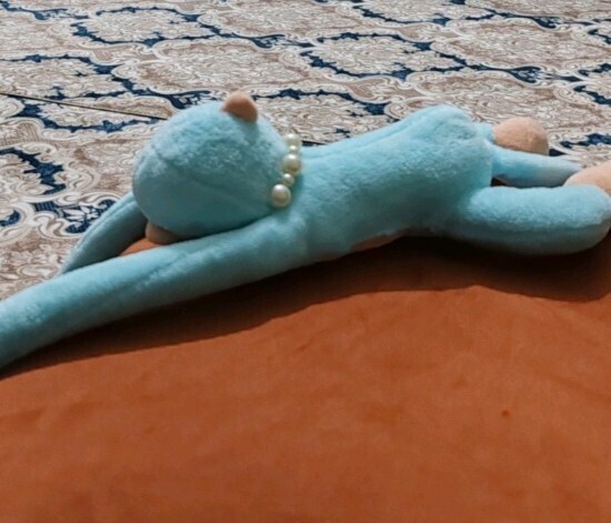 Peluş oyuncağınız var mı?